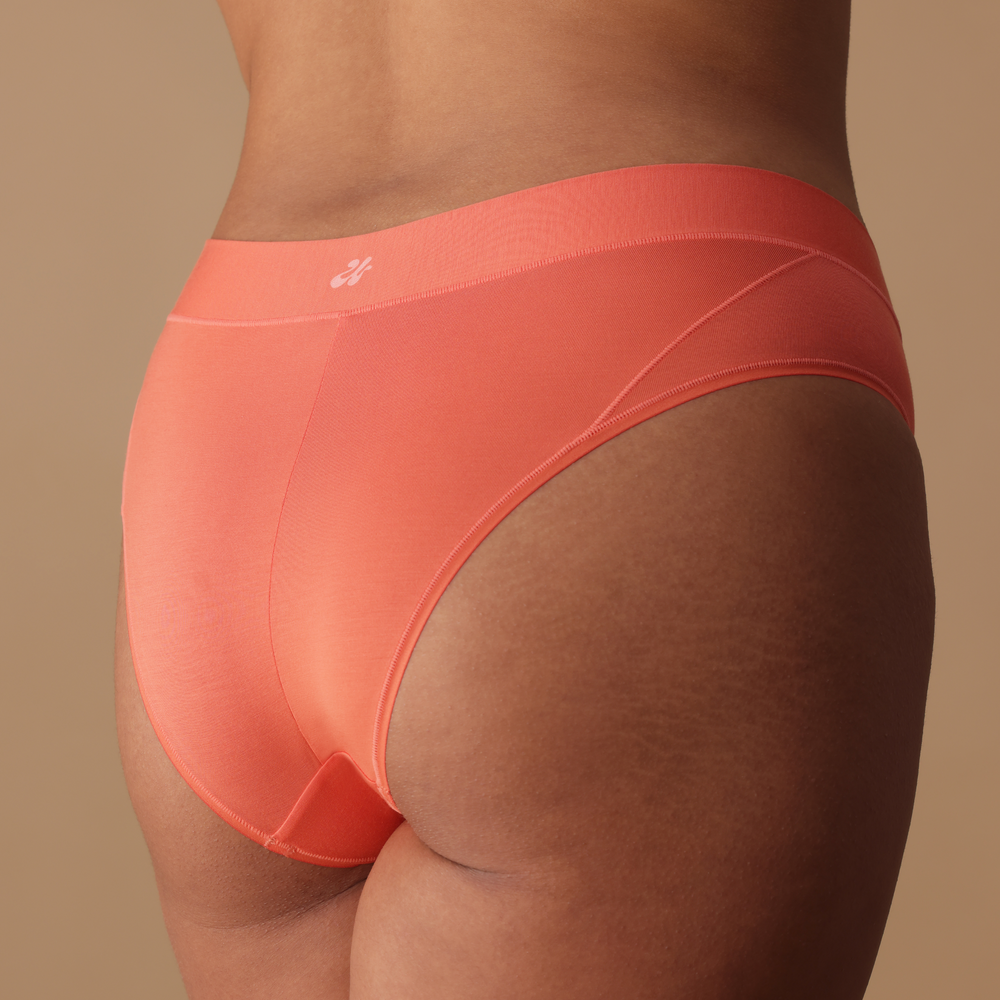 the everyday brief - aperol