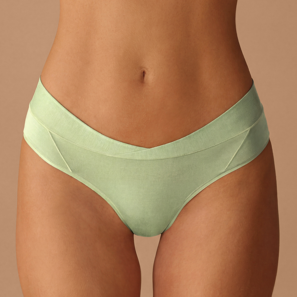 model_info=mint brief