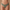 the workout thong - olive